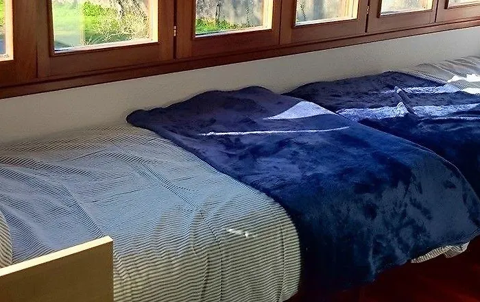 La Curva Surfhouse 2* لوريدو